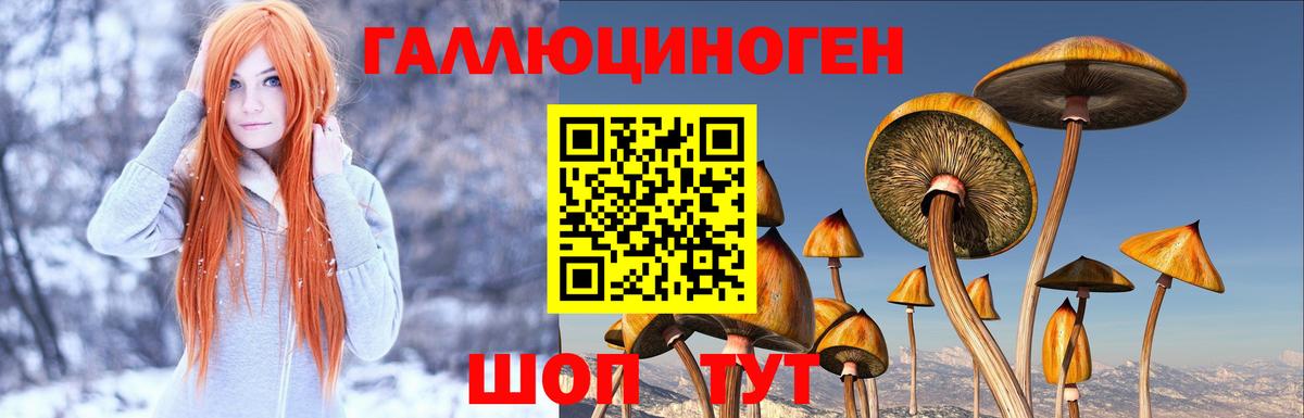 Галлюциногенные грибы GOLDEN TEACHER  Вход с VPN  Йошкар-Ола 
